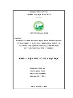 Nghiên cứu tình hình mắc bệnh phân trắng lợn con từ sơ sinh đến 21 ngày tuổi và biện pháp phòng trị tại trang trại Đặng Đức Khang xã Hướng Đạo  huyện Tam Dương  tỉnh Vĩnh Phúc. (Khóa luận tốt nghiệp)