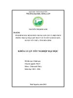 Tình hình mắc bệnh phân trắng ở lợn con tại trại lợn Trần Văn Tuyên, xã Đoàn Kết  huyện Yên Thủy  tỉnh Hòa Bình và biện pháp phòng trị bệnh. (Khóa luận tốt nghiệp)