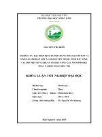 Nghiên cứu đặc điểm dịch tễ Hội chứng rối loạn hô hấp và sinh sản (PRRS) ở lợn tại hai huyện thuộc tỉnh Bắc Ninh, vai trò của một số vi khuẩn có khả năng gây viêm phổi kế phát và biện pháp điều trị. (Khóa luận tốt nghiệp)