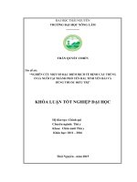 Nghiên cứu một số đặc điểm dịch tễ bệnh cầu trùng ở gà nuôi tại thành phố Yên Bái  tỉnh Yên Bái và dùng thuốc điều trị. (Khóa luận tốt nghiệp)