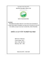 Tình hình mắc bệnh viêm tử cung ở đàn lợn nái sinh sản và biện pháp phòng trị bệnh tại trại lợn nái sinh sản Nguyễn Văn Chiêm, xã Đạo Tú  huyện Tam Dương  tỉnh Vĩnh Phúc (Khóa luận tốt nghiệp)