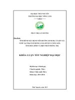 Tình hình mắc bệnh viêm đường sinh dục ở lợn nái nuôi tại trại Ngô Hồng Gấm  huyện Lương Sơn  tỉnh Hòa Bình và biện pháp phòng trị. (Khóa luận tốt nghiệp)