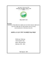 Đánh giá tình hình mắc bệnh lợn con phân trắng trên đàn lợn con theo mẹ tại trại giống lợn Tân Thái  Huyện Đồng Hỷ  Tỉnh Thái Nguyên. (Khóa luận tốt nghiệp)