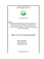 Tình hình mắc bệnh phân trắng lợn con giai đoạn 1 – 21 ngày tuổi tại công ty TNHH MTV lợn giống Lạc Vệ, huyện Tiên Du  tỉnh Bắc Ninh, so sánh tác dụng của hai loại thuốc Colistin  1200 và Hancotmix  Forte (Khóa luận tốt nghiệp)