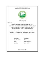 Nghiên cứu thử nghiệm ảnh hưởng của Men TUAF – Multibio trên chim cút nuôi tại trại chăn nuôi gia cầm Khoa Chăn nuôi Thú y – Trường Đại học Nông Lâm Thái Nguyên. (Khóa luận tốt nghiệp)