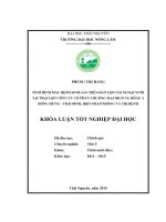 Tình hình mắc bệnh sinh sản trên đàn lợn nái ngoại nuôi tại CTCP thương mại dịch vụ Đông Á – Đông Hưng – Thái Bình, biện pháp phòng và trị bệnh. (Khóa luận tốt nghiệp)