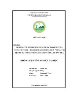 Nghiên cứu ảnh hưởng của thuốc Coxymax và Anticoccidae – Diarrhoea đến hiệu quả phòng trị bệnh Cầu trùng trên gà Ri lai nuôi bán chăn thả. (Khóa luận tốt nghiệp)