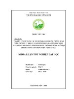 Nghiên cứu sử dụng vaccine Donoban  10 trong phòng bệnh viêm phổi do vi khuẩn M. hyopneumoniae; Actinobacillus pleuropneumoniae và Streptococcus suis cho lợn rừng giai đoạn sơ sinh đến 120 ngày tuổi. (Khóa luận tốt nghiệp)