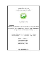 Thực trạng bệnh sinh sản ở đàn lợn nái ngoại nuôi tại trang trại Nguyễn Thanh Lịch huyện Ba Vì thành phố Hà Nội và biện pháp phòng trị. (Khóa luận tốt nghiệp)