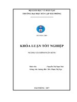 Phân tích tình hình tài chính tại Công ty Thép Đan Việt (Khóa luận tốt nghiệp)