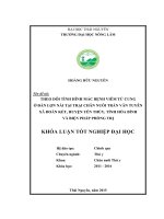Theo dõi tình hình mắc bệnh viêm tử cung ở đàn lợn nái tại trại chăn nuôi Trần Văn Tuyên, xã Đoàn Kết huyện Yên Thủy  tỉnh Hòa Bình và biện pháp phòng trị.