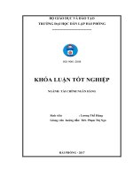 Giải pháp nâng cao hiệu quả hoạt động tín dụng tại ngân hàng Thương mại Cổ phần Đông Nam Á – Chi nhánh Hải Phòng (Khóa luận tốt nghiệp)