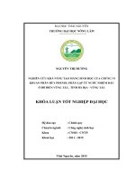 Nghiên cứu khả năng tạo màng sinh học của chủng vi khuẩn phân hủy Phenol phân lập từ nước nhiễm dầu ở bờ biển Vũng Tàu, tỉnh Bà Rịa  Vũng Tàu. (Khóa luận tốt nghiệp)