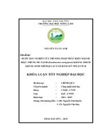 Bước đầu nghiên cứu phương pháp phát hiện nhanh trực trùng mủ xanh (Pseudomonas aeruginosa) kháng thuốc kháng sinh nhóm βlactam bằng kỹ thuật PCR. (Khóa luận tốt nghiệp)