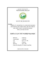 Nghiên cứu ảnh hưởng của lượng phân đạm đến sinh trưởng, phát triển giống chè LDP1 thời kỳ kiến thiết cơ bản tại trường Đại học Nông Lâm Thái Nguyên. (Khóa luận tốt nghiệp)