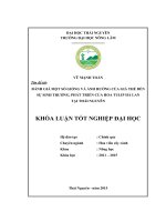 Đánh giá một số giống và ảnh hưởng của giá thể đến sự sinh trưởng, phát triển của hoa Tulip Hà lan tại Thái Nguyên. (Khóa luận tốt nghiệp)