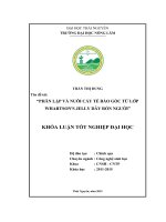 Phân lập và nuôi cấy tế bào gốc từ lớp Whartsons jelly dây rốn người. (Khóa luận tốt nghiệp)