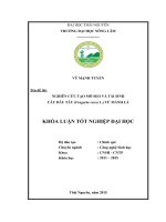 Nghiên cứu tạo mô sẹo và tái sinh cây dâu tây (Fragaria vesca L.) từ mảnh lá (Khóa luận tốt nghiệp)