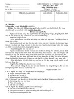 ĐỀ KIỂM TRA CUỐI HỌC KÌ 1 MÔN TIẾNG VIỆT LỚP 3