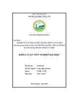 Nghiên cứu kỹ thuật nhân nhanh giống cây Xạ đen (Ehretia asperula Zoll.  Mor). tại trường Đại học Nông Lâm Thái Nguyên bằng phương pháp in vitro. (Khóa luận tốt nghiệp)