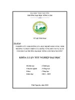 Nghiên cứu ảnh hưởng của mật độ đến khả năng sinh trưởng và phát triển của giống vừng đen V10 vụ xuân năm 2015 tại trường Đại Học Nông Lâm Thái Nguyên. (Khóa luận tốt nghiệp)