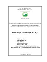 Nghiên cứu sự ô nhiễm trứng giun tròn Oesophagostomum spp. trong môi trường chăn nuôi lợn tại huyện Phú Bình tỉnh Thái Nguyên và thử nghiệm biện pháp phòng trị bệnh. (Khóa luận tốt nghiệp)