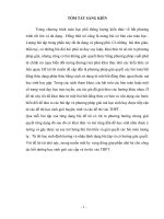 Sáng kiến kinh nghiệm toán 9 THCS::Rèn kỹ năng cho học sinh khối 9 qua một phương pháp chứng minh bất đẳng thức dạng phân thức