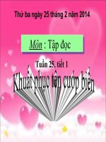 Tuần 25: Tập đọc lớp 4: Khuất phục tên cướp biển