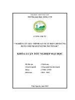 Nghiên cứu quy trình sản xuất bột chuối ứng dụng chế phẩm Enzyme pectinase. (Khóa luận tốt nghiệp)