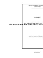 Tìm hiểu các phương pháp hình thành hỗn hợp trong động cơ điezen và các giải pháp nâng cao hiệu suất nhiệt