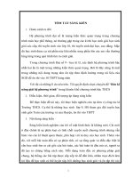 Sáng kiên kinh nghiệm:Rèn kĩ năng giải hệ phương trình