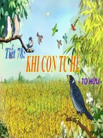 Ngữ văn 8: Khi con tu hú