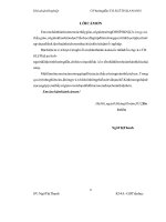 Xây dựng hệ thống bài tập trắc nghiệm khách quan trong phân môn chính tả ở tiểu học