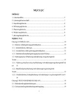 Xây dựng hệ thống bài tập trắc nghiệm khách quan về đại lượng và đo đại lượng trong chương trình toán 4