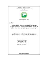 Tình hình mắc hội chứng viêm đường hô hấp ở lợn nái ngoại và biện pháp điều trị tại trại lợn Công ty CP Bình Minh  huyện Mỹ Đức  Hà Nội. (Khóa luận tốt nghiệp)