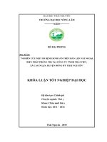 Nghiên cứu một số bệnh sinh sản trên đàn lợn nái ngoại, biện pháp phòng trị tại Công ty TNHH Thái Việt xã Cao Ngạn  huyện Đồng Hỷ Thái Nguyên. (Khóa luận tốt nghiệp)