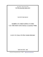 Nghiên cứu nhân giống in vitro cây Thổ nhân sâm (Talinum crassifolium Willd) (Luận văn thạc sĩ)