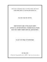 Một số dẫn liệu về đa dạng kiến (Insecta Hymenoptera Formicidae) ởKhu Bảo tồn Thiên nhiên Hòn Bà, tỉnh Khánh Hòa (Luận văn thạc sĩ)