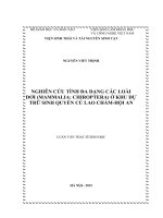Nghiên cứu tính đa dạng các loài dơi (Mammalia Chiroptera) ở khu dự trữ sinh quyển Cù Lao Chàm  Hội An (Luận văn thạc sĩ)