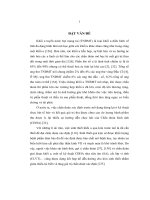 Nghiên cứu chẩn đoán và điều trị phẫu thuật u tuyến nước bọt mang tai (Luận án tiến sĩ)