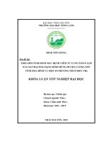 Theo dõi tình hình mắc bệnh viêm tử cung ở đàn lợn nái tại trại của gia đình ông Đặng Đình Dũng Huyện Lương Sơn  tỉnh Hòa Bình và một số phương pháp điều trị. (Khóa luận tốt nghiệp)