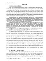 skkn chứng minh hình học bằng phương pháp diện tích 