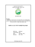 Nghiên cứu một số yếu tố ảnh hưởng tỉ lệ nhiễm bệnh thối ấu trùng ở loài ong Apis cerana nuôi tại xã Phúc Hà  thành phố Thái Nguyên và biện pháp phòng trị. (Khóa luận tốt nghiệp)