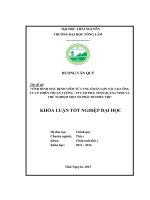 Tình hình mắc bệnh viêm tử cung ở đàn lợn nái tại công ty CP Thiên Thuận Tường  thành phố Cẩm Phả  tỉnh Quảng Ninh và thử nghiệm một số phác đồ điều trị. (Khóa luận tốt nghiệp)