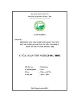 Tình hình mắc một số bệnh sinh sản trên đàn lợn nái nuôi tại trại ông Nguyễn Thanh Lịch – Ba Vì – Hà Nội và phác đồ điều trị. (Khóa luận tốt nghiệp)