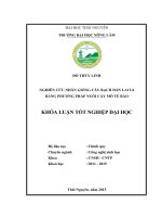 Nghiên cứu nhân giống cây bạch đàn lai U6 bằng phương pháp nuôi cấy mô tế bào (Khóa luận tốt nghiệp)