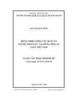 Hoàn thiện công tác quản lý nguồn nhân lực tại Tổng Công ty giấy Việt Nam (Luận văn thạc sĩ)