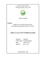 Nghiên cứu ứng dụng kỹ thuật PCR phát hiện bệnh Greening trên cây có múi (Khóa luận tốt nghiệp)