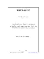 Nghiên cứu đặc tính của Chitinase tự nhiên và biểu hiện Chitinase tái tổ hợp từ chủng nấm Lecanicillium Lecanii (Luận văn thạc sĩ)