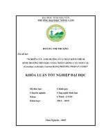 Nghiên cứu ảnh hưởng của chất kích thích sinh trưởng đến khả năng nhân giống cây Sâm cau (Curculigo orchioides Gaertn) bằng phương pháp in vitro (Khóa luận tốt nghiệp)